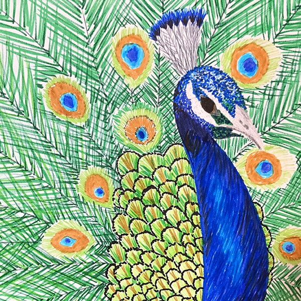 lessen lentekriebels